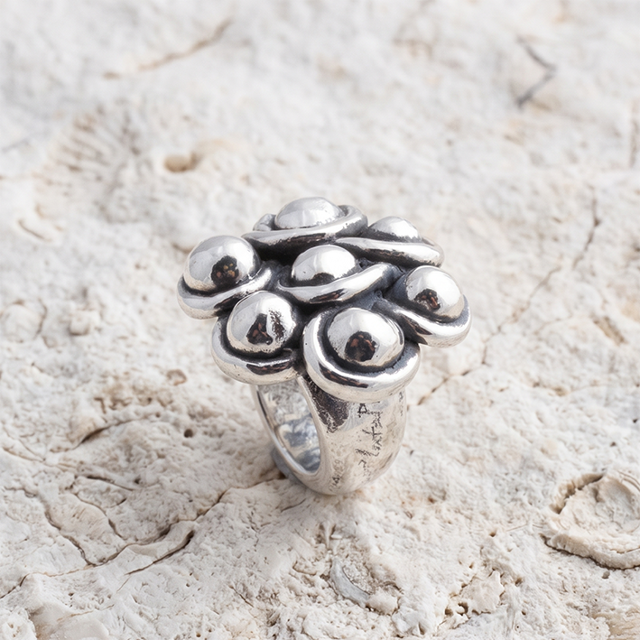 Anillo Conexión