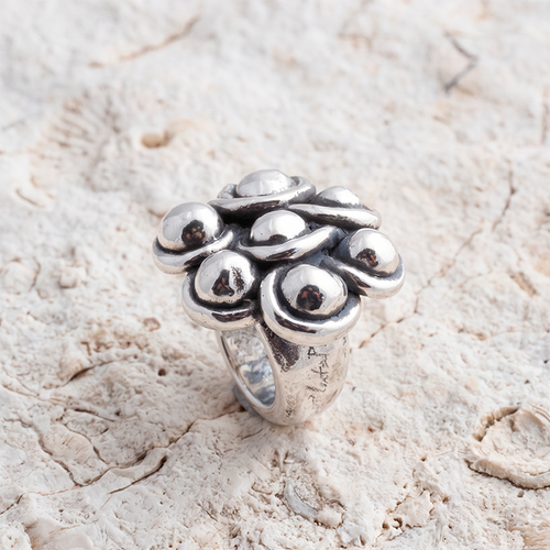 Anillo Conexión