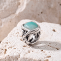 Anillo Raíz