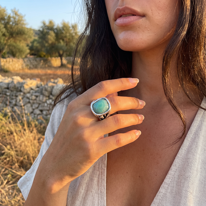Anillo Raíz